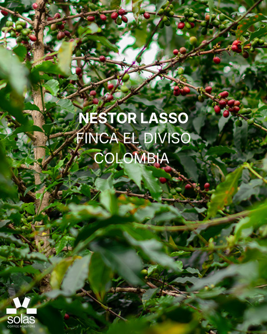 Colombia | Nestor Lasso | Bourbon Sidra
