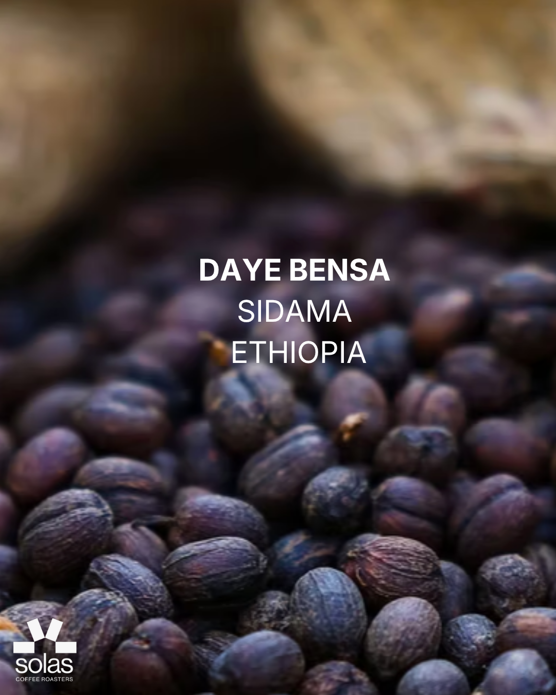 Ethiopia | Sidama