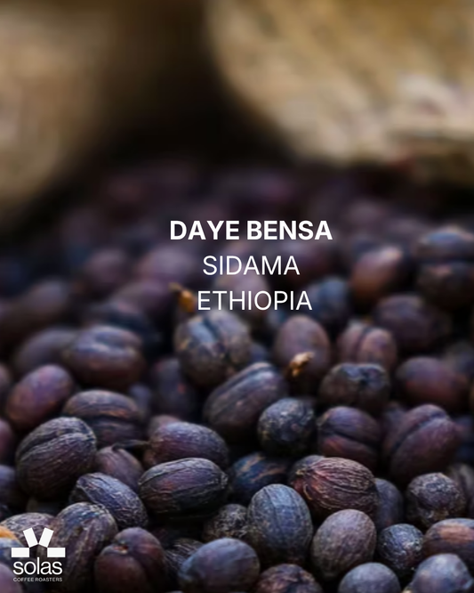 Ethiopia | Sidama